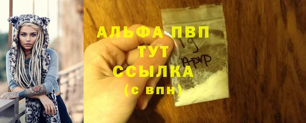 амф Арсеньев