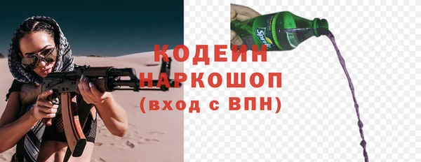 амф Арсеньев