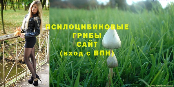 амф Арсеньев